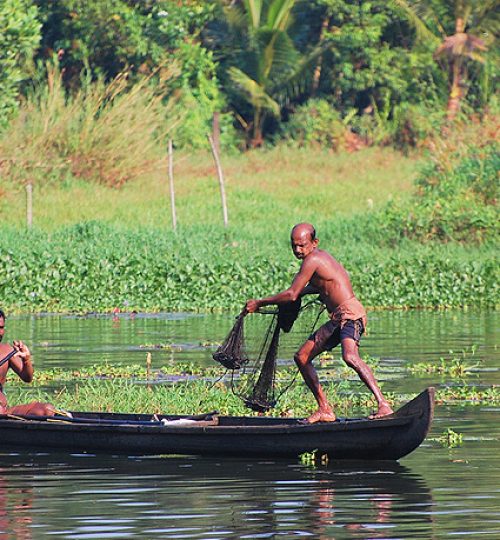 Explore Alleppey alappuzha backwater fishing copy