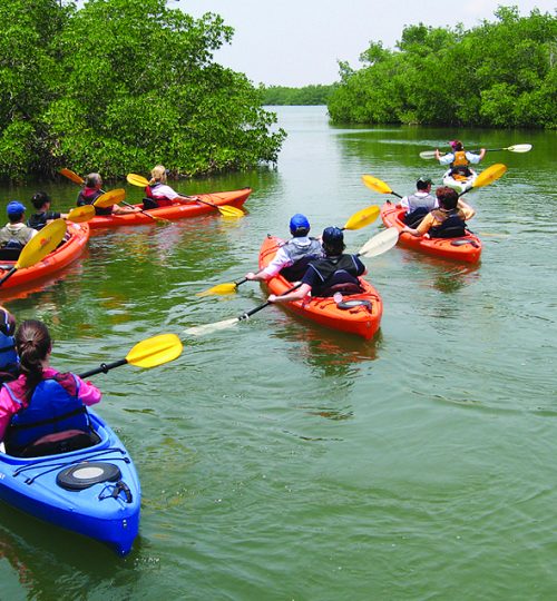 Explore Alleppey alleppey kayaking